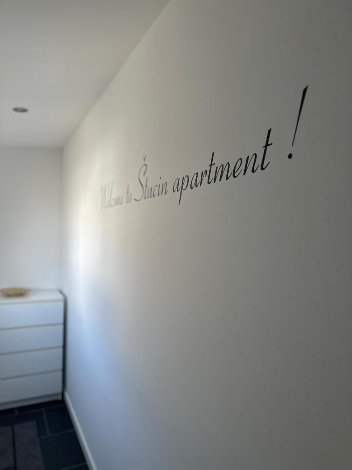 Apartment Stucin Vipava Εξωτερικό φωτογραφία